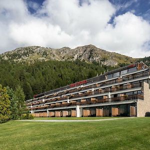 Nira Alpina